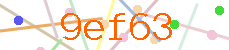 verify