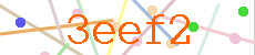 verify